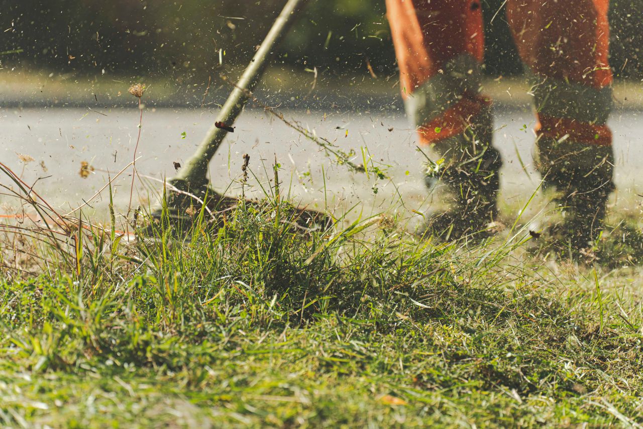 A person using a lawn mower to trim grass in a sunny garden.